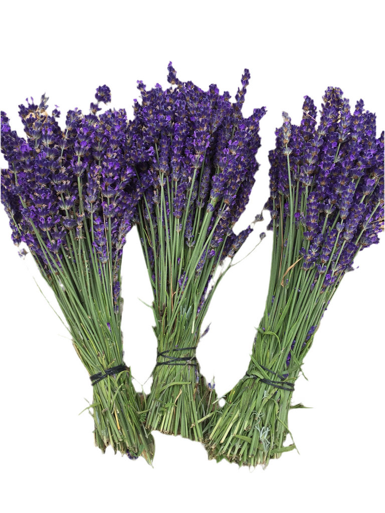 Lavender Bunches