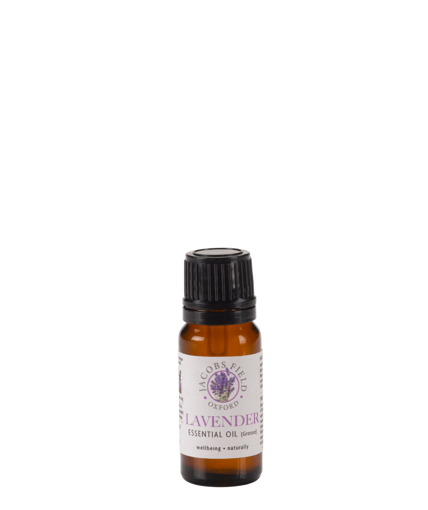 Lavender Essential Oil – Grosso